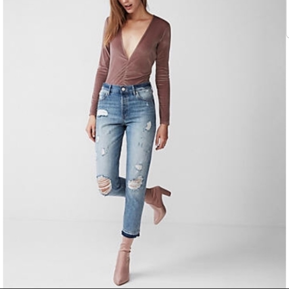 Express Velvet/Velour Bodysuit/One Piece